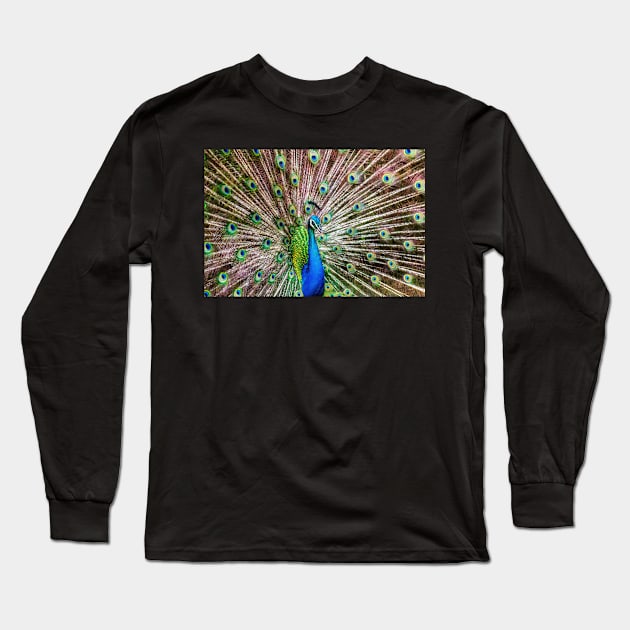 A Peacock Doing its Thing Long Sleeve T-Shirt by JeffreySchwartz